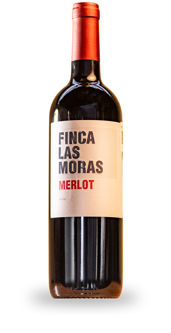Finca las Moras Merlot